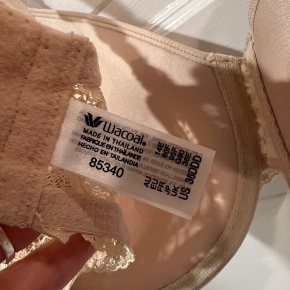 Wacoal French Garden Bra Sz 36DDD Seamless Lace Sides Underwire NWOT - Picture 3 of 6